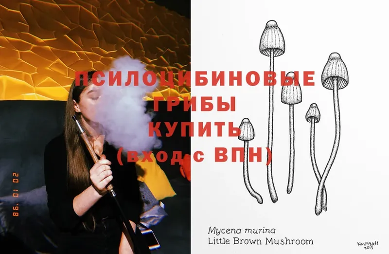 Галлюциногенные грибы Cubensis  Петушки 